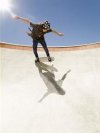 skate