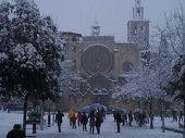 plaça octavia nevada