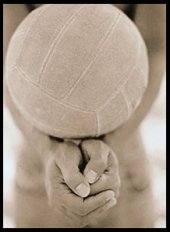 voleibol