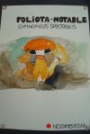 dibuix de bolets